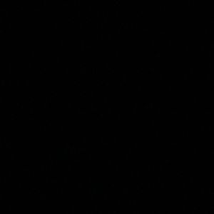 Meet your Posher, Joyce